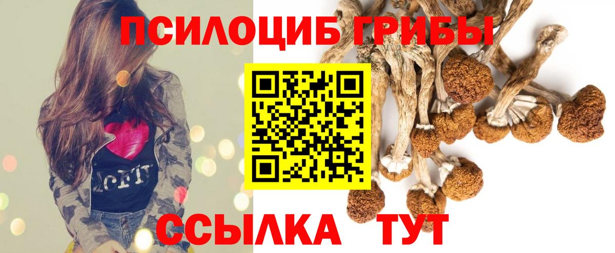 Псилоцибиновые грибы GOLDEN TEACHER  Псилоцибиновые грибы мухоморы  Саранск  Вход с VPN 